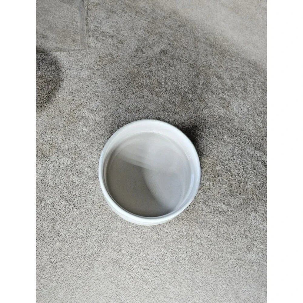 Rae Dunn MEOW White Ceramic Raised Cat Bowl Dish, Single Bowl, Raised Bowl